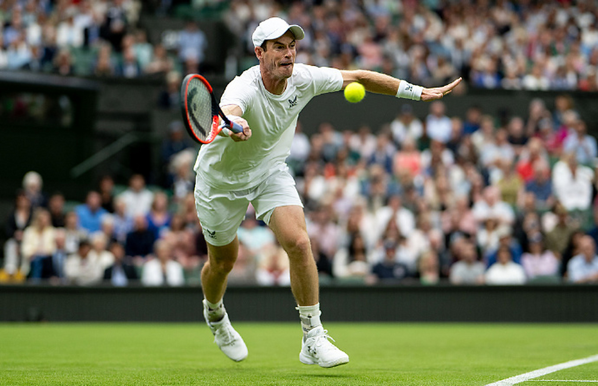 开云体育app-戴维斯杯力克温网，穆雷高光表现