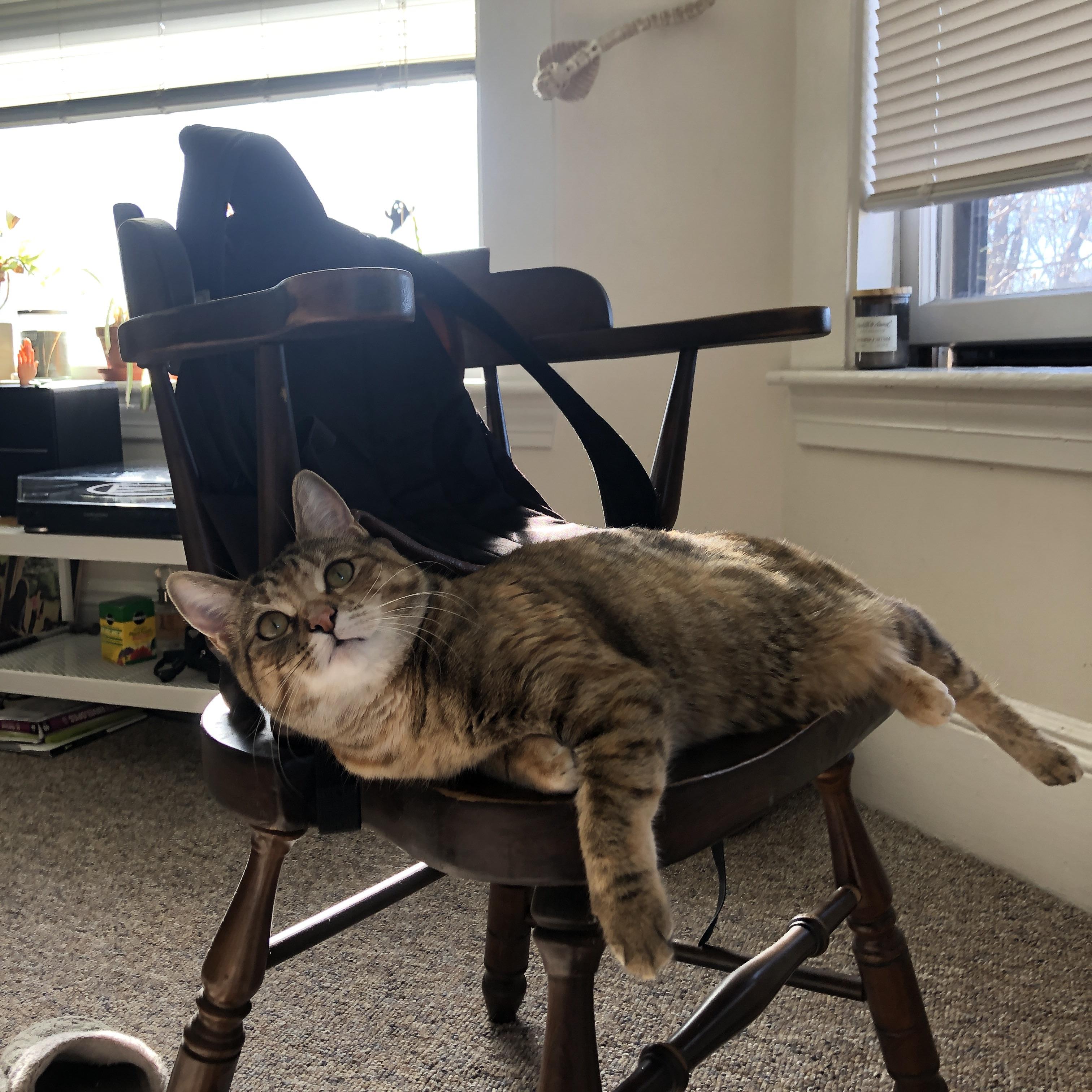 绝杀时刻，杰伦格林致命三分与雄鹿险胜76人的制胜之道