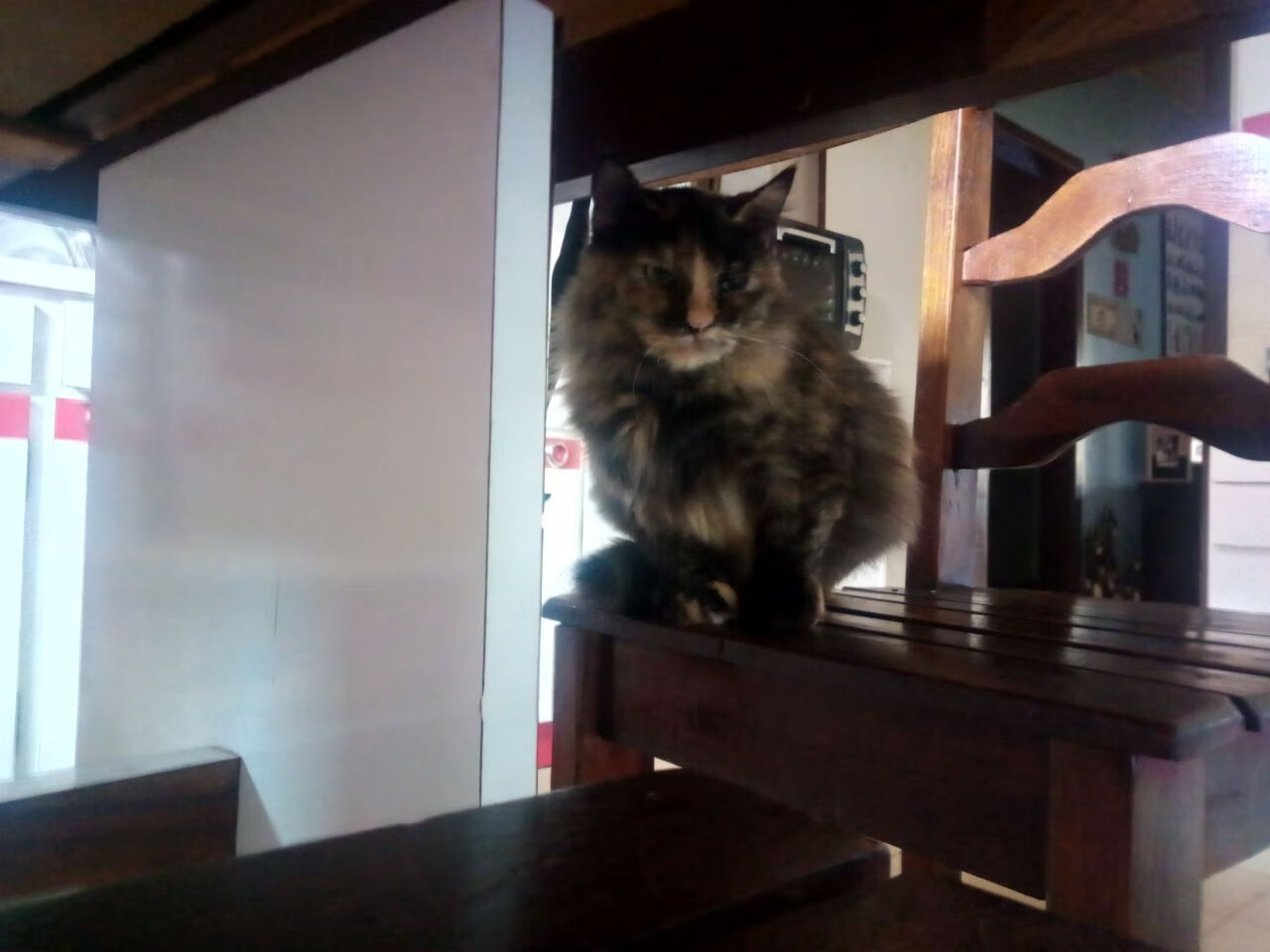 绝杀时刻，杰伦格林致命三分与雄鹿险胜76人的制胜之道