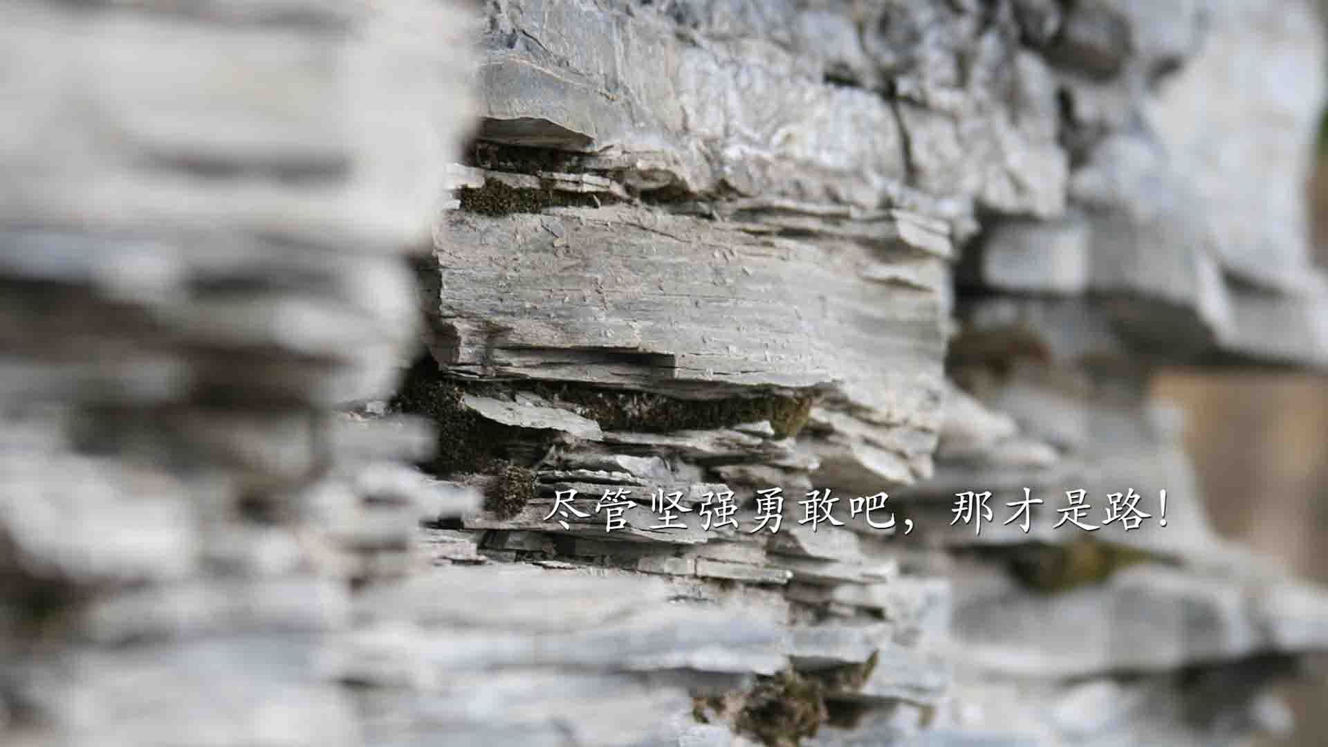 开云体育在线-王冠上的宝石，德阿隆·福克斯的终场绝杀，国王险胜马刺