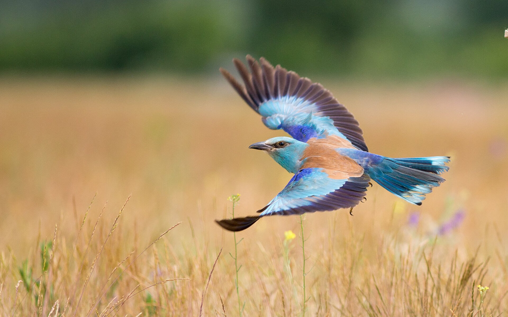穿错球衣的神,斯蒂芬·库里在雷霆更衣室的最后3.2秒