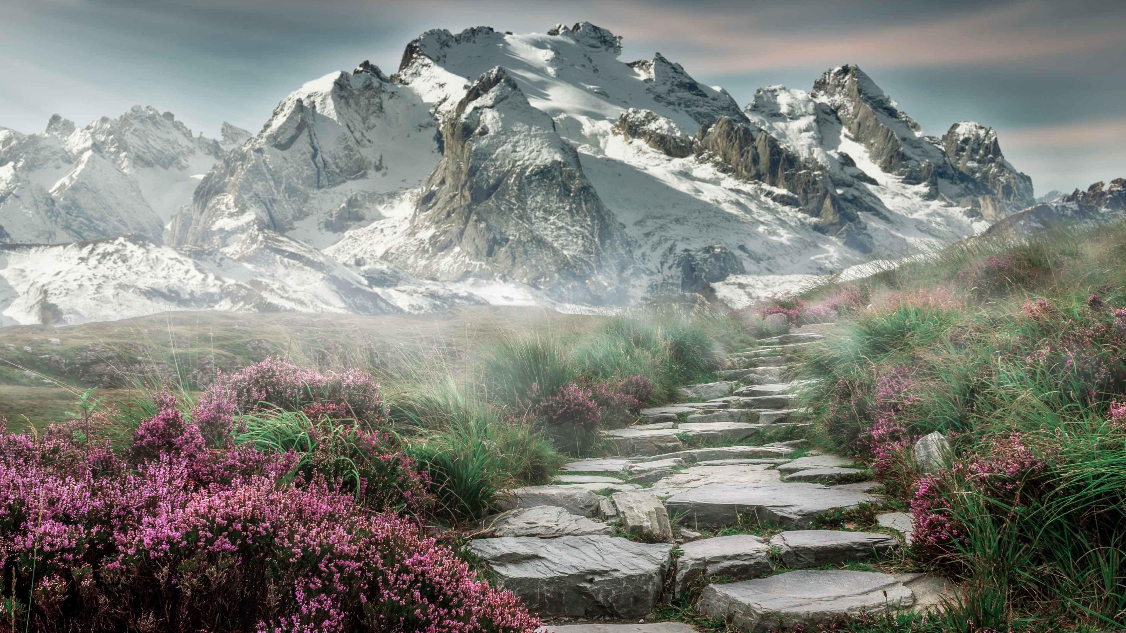 铁蹄烈焰中的指挥家,保罗用手术刀肢解火箭,独行侠的逆转乐章