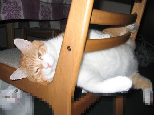 破晓雅典娜，当希腊突破苏格兰铁阵，帕尔默写下唯一传奇