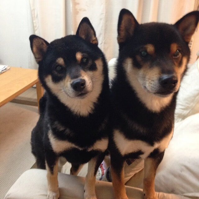 平行世界的交点，英超争冠夜与吉林少年的凯尔特人之梦