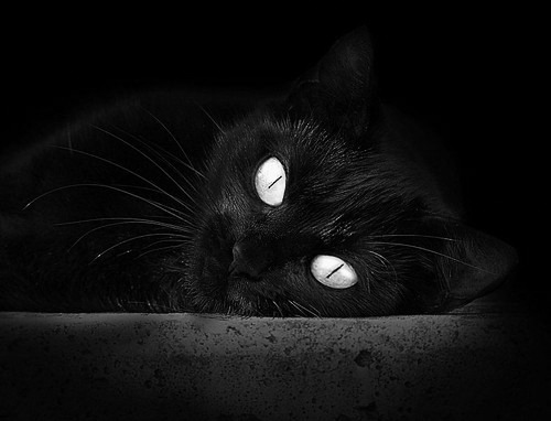 足球战争与平行宇宙,当巴黎横扫伊拉克,苏亚雷斯在德甲接管争冠战