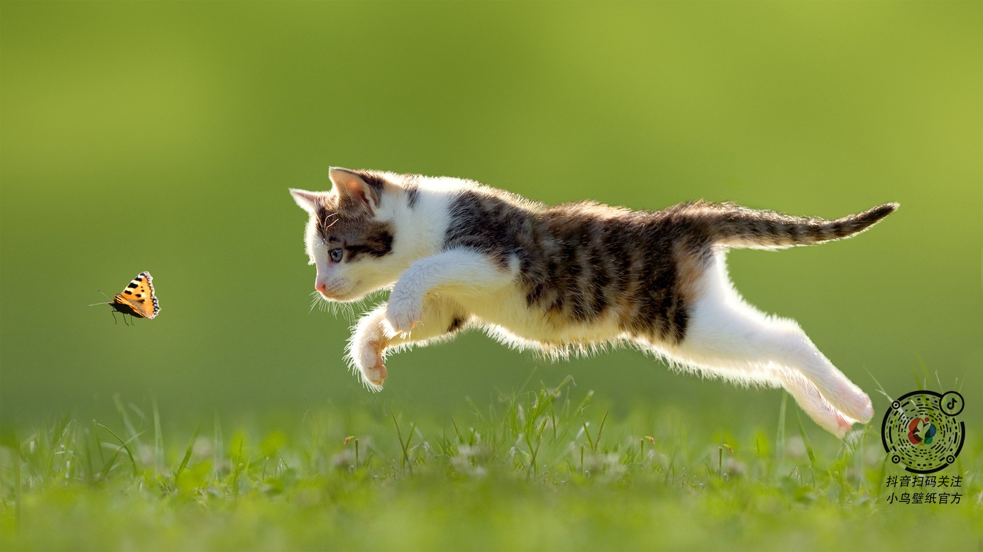 绿茵上的节奏大师,伊萨克用实力与智慧书写非典型胜利