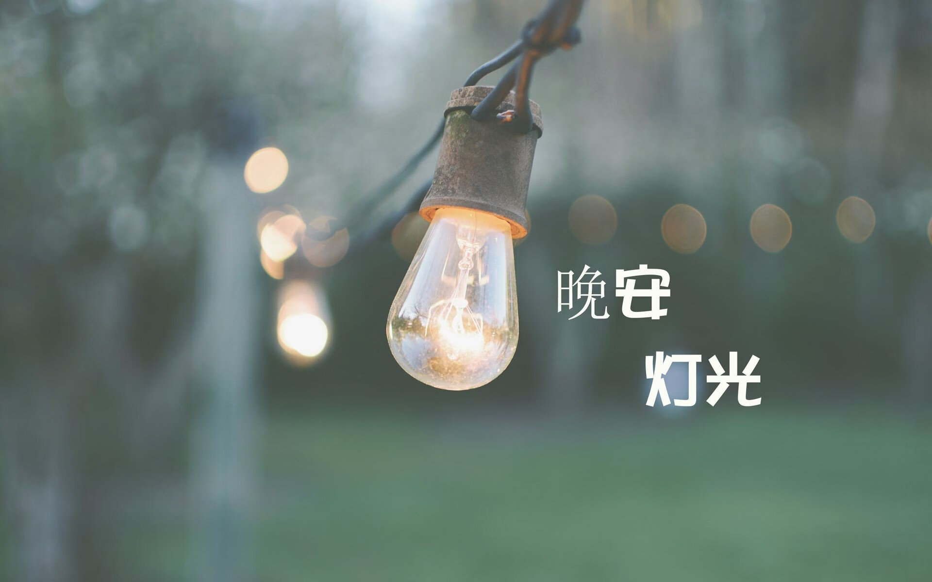 蓝武士的异乡人，萨内替补绝杀，世界杯D组上演唯一性神迹