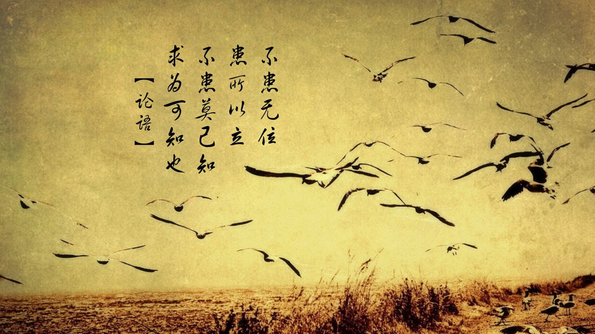 蓝衣军团的铁幕，2026世界杯H组，意大利如何用非典型压制为比利时上一课，以及坎塞洛那记逆火重炮